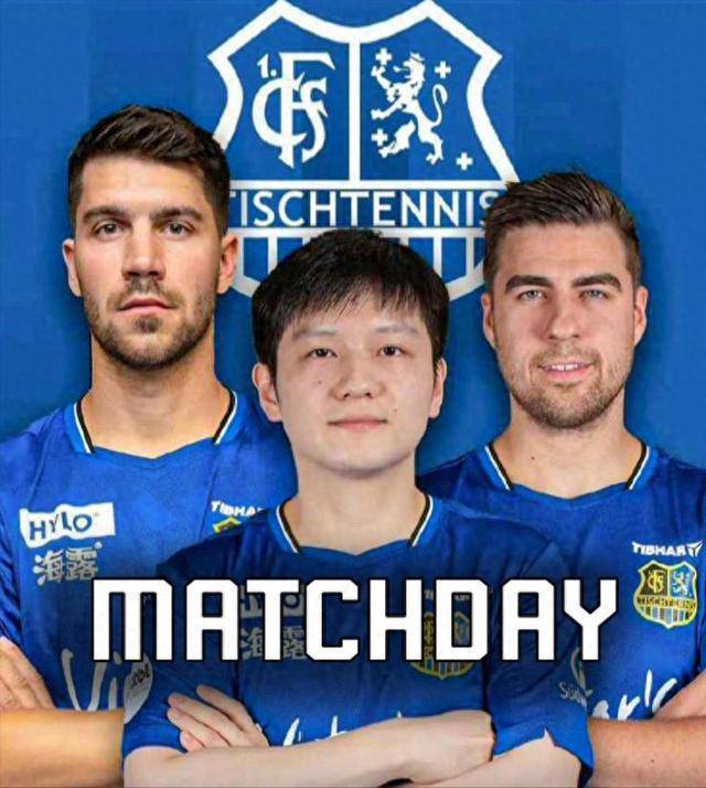 布置的色彩 布置的色彩