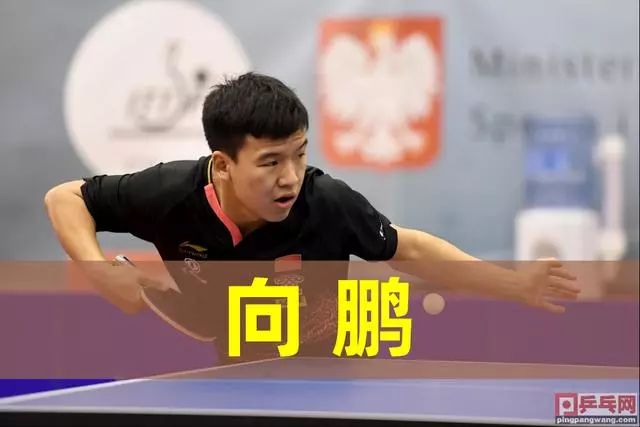 设为专项 设为专项